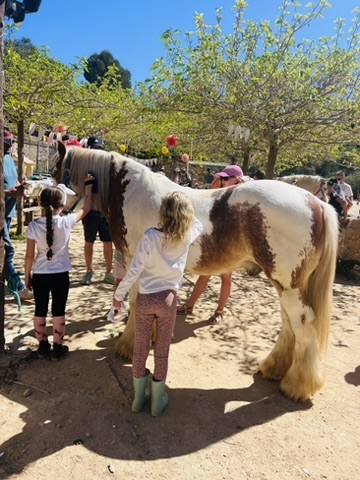 Children grooming a horse together at a Paradise Stables party
