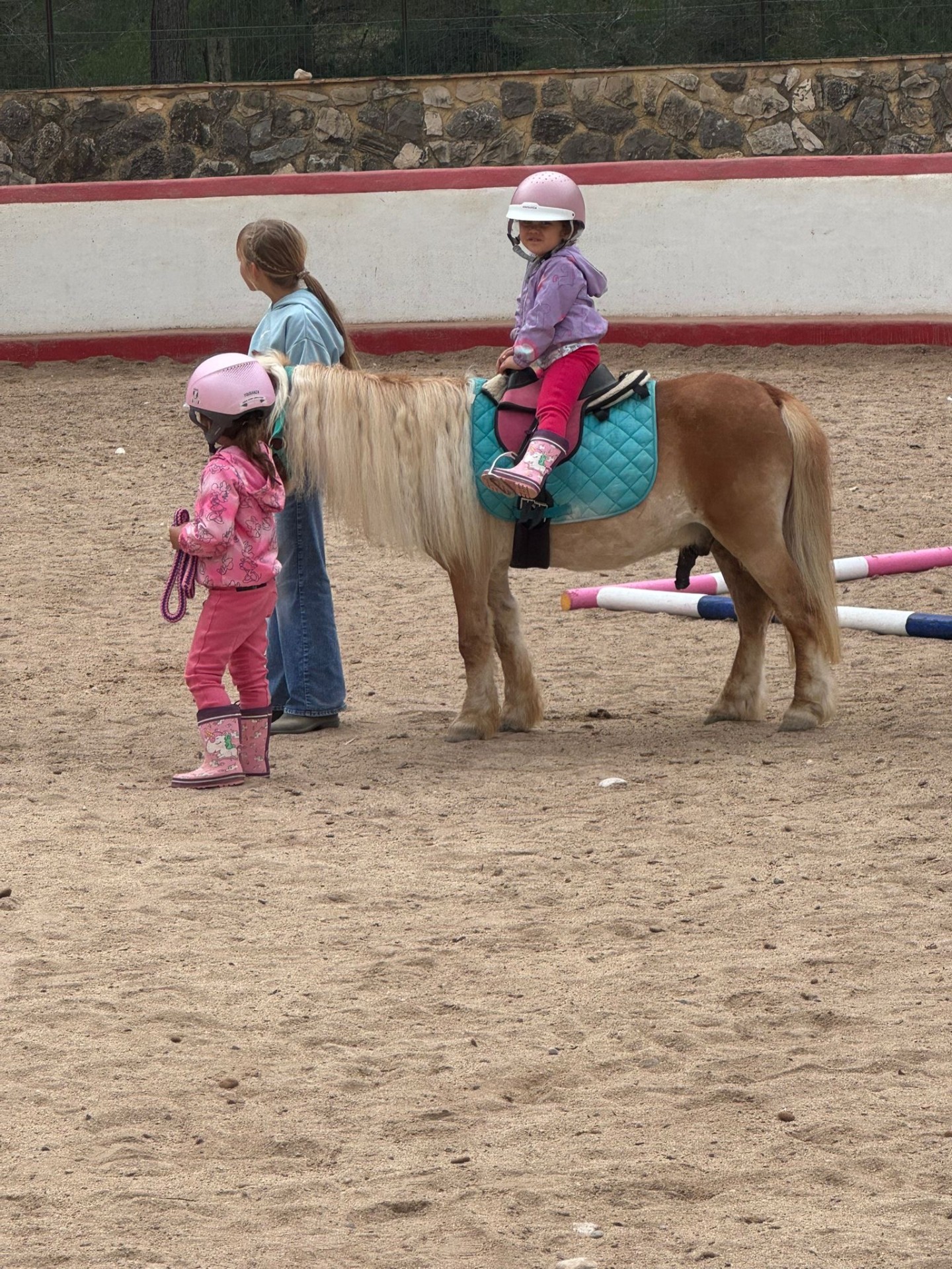Tiny-tots pony lesson with instructor supporting a young rider in the arena