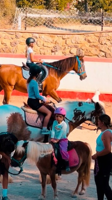 Riding Lessons