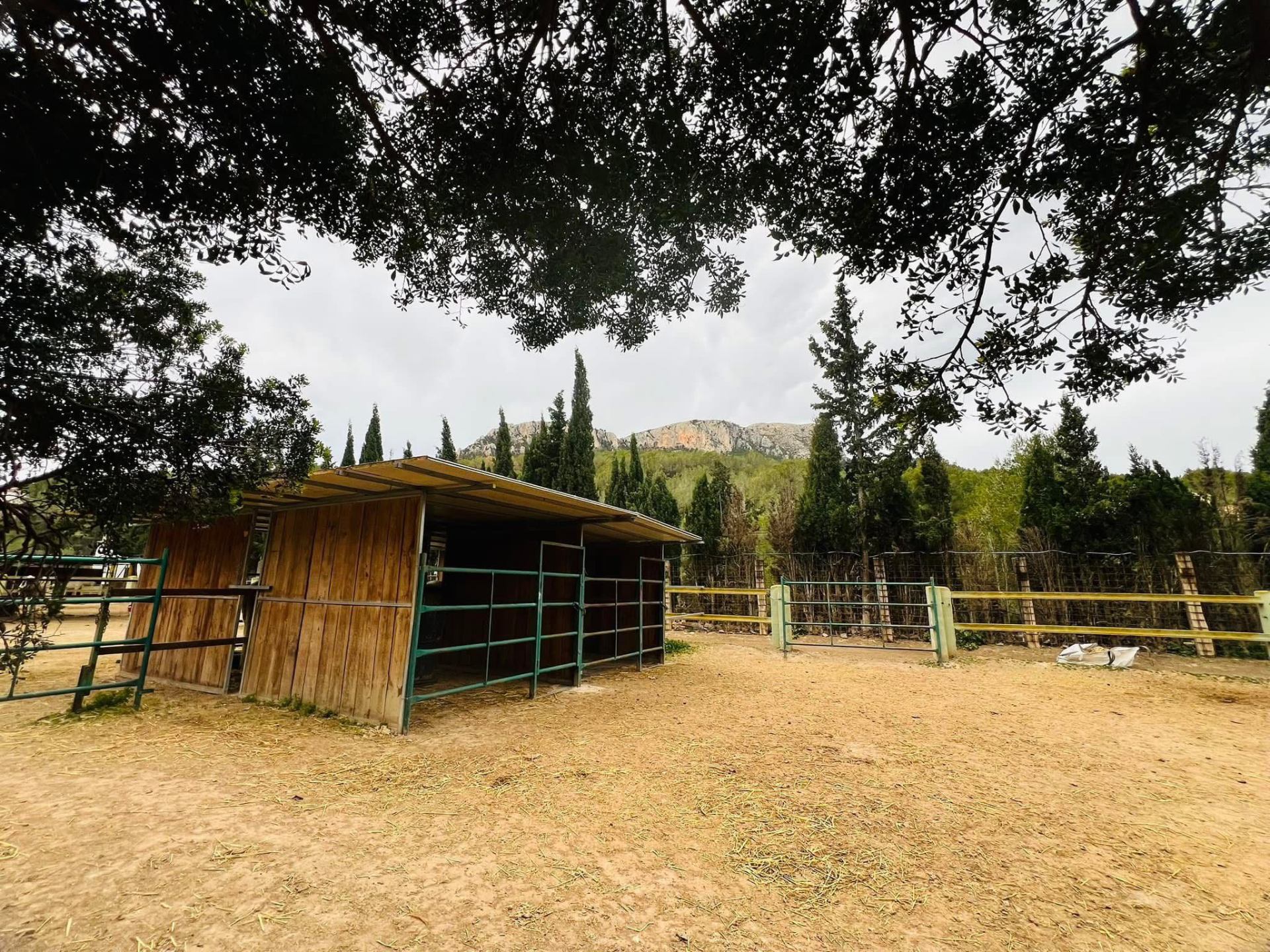 Field shelter and mountain views at Paradise Stables Costa Blanca