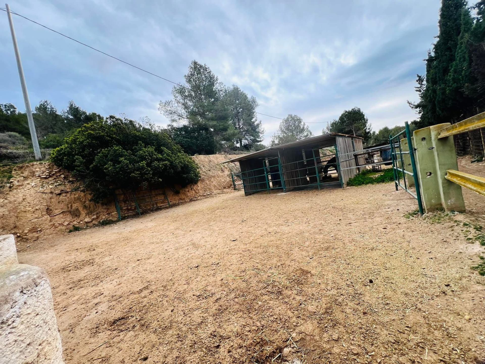 Wide view of a paddock and open field shelter at Paradise Stables