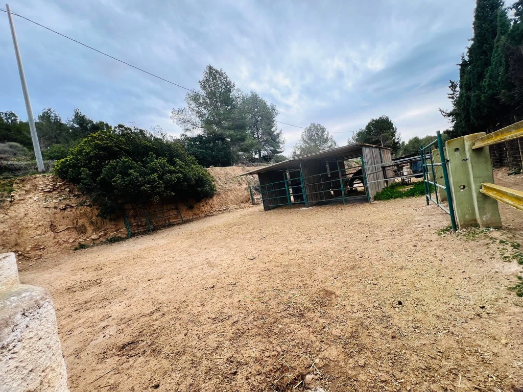 Side view of a paddock shelter and turnout area at Paradise Stables