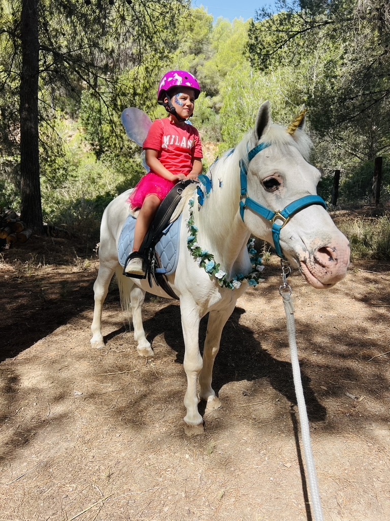 Child in fairy costume riding a unicorn pony through the forest