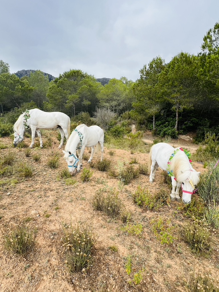 Three white unicorns with flower crowns grazing in a mountain paddock