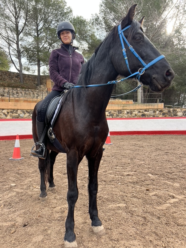 Adult rider on a black horse in the Paradise Stables arena