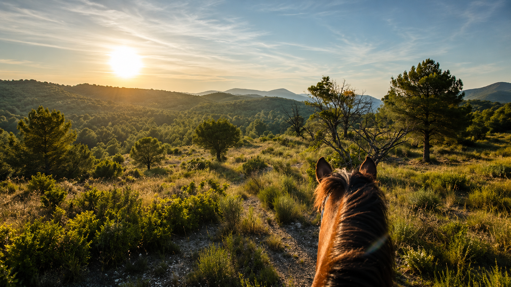 View from horseback over the Costa Blanca hills at sunset near Calpe
