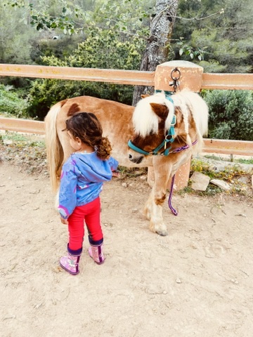 Toddler approaching a small pony at Paradise Stables to build confidence before riding