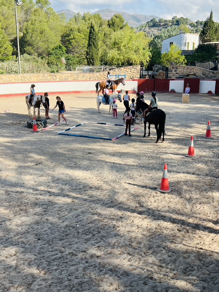 Group riding lesson with poles and cones set up in the Paradise Stables arena