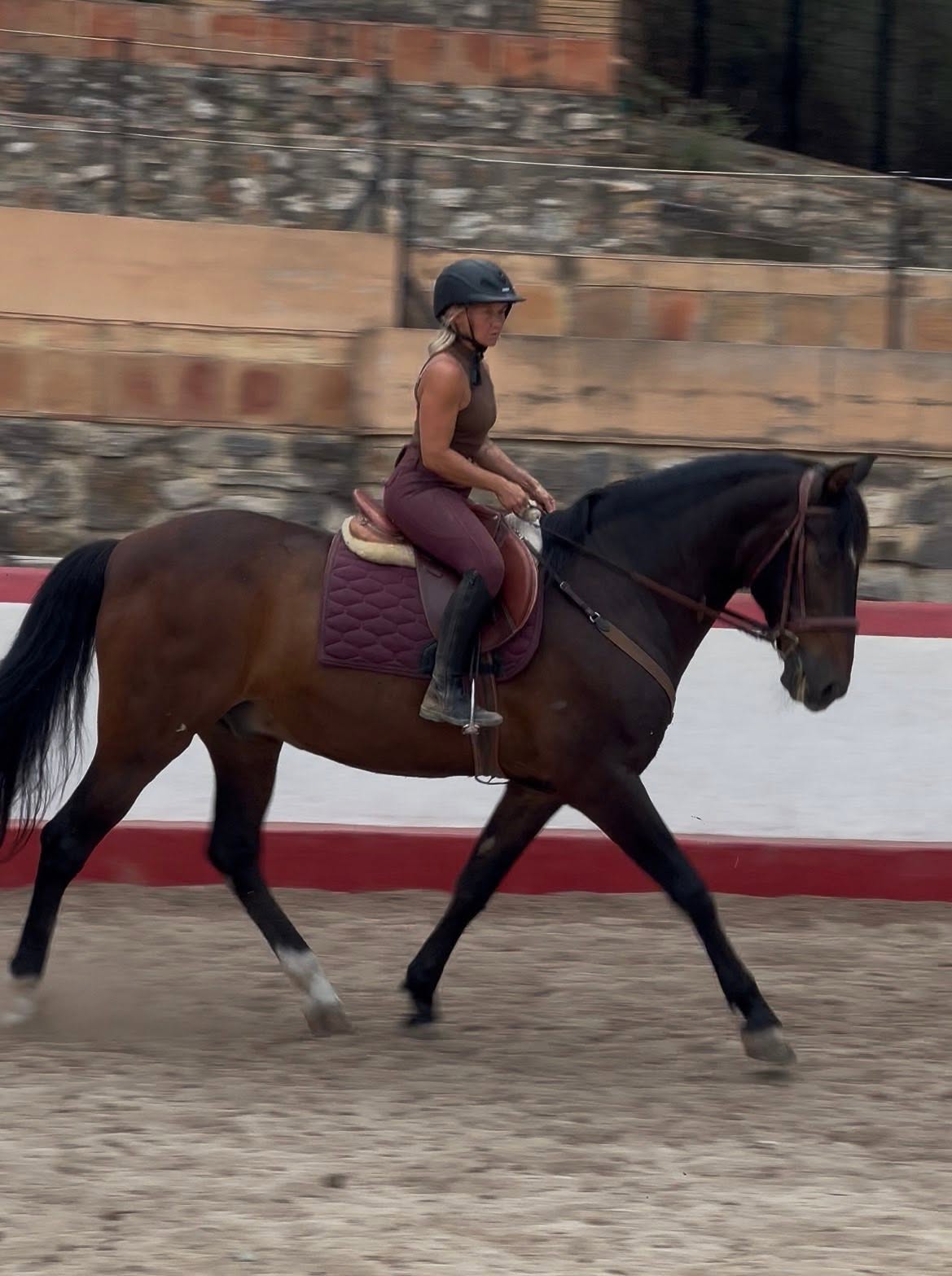 Rider trotting a bay horse in the Paradise Stables arena