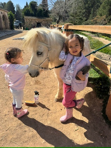 Two toddlers grooming and cuddling a small white pony at Paradise Stables