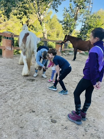 Children learning to pick out a horse’s hoof at Paradise Stables