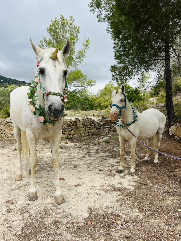 Two white unicorns with flower garlands standing in a countryside paddock