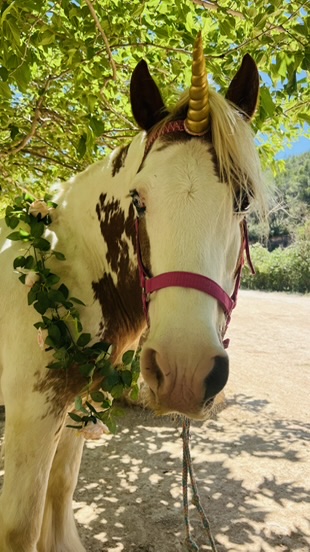 Piebald unicorn with golden horn under a leafy tree