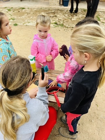 Young children learning about grooming brushes and horse-care tools with an instructor